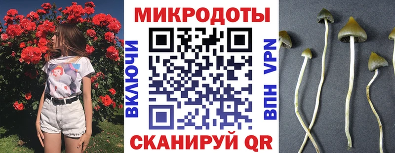 Галлюциногенные грибы Psilocybe  что такое наркотик  Березники 