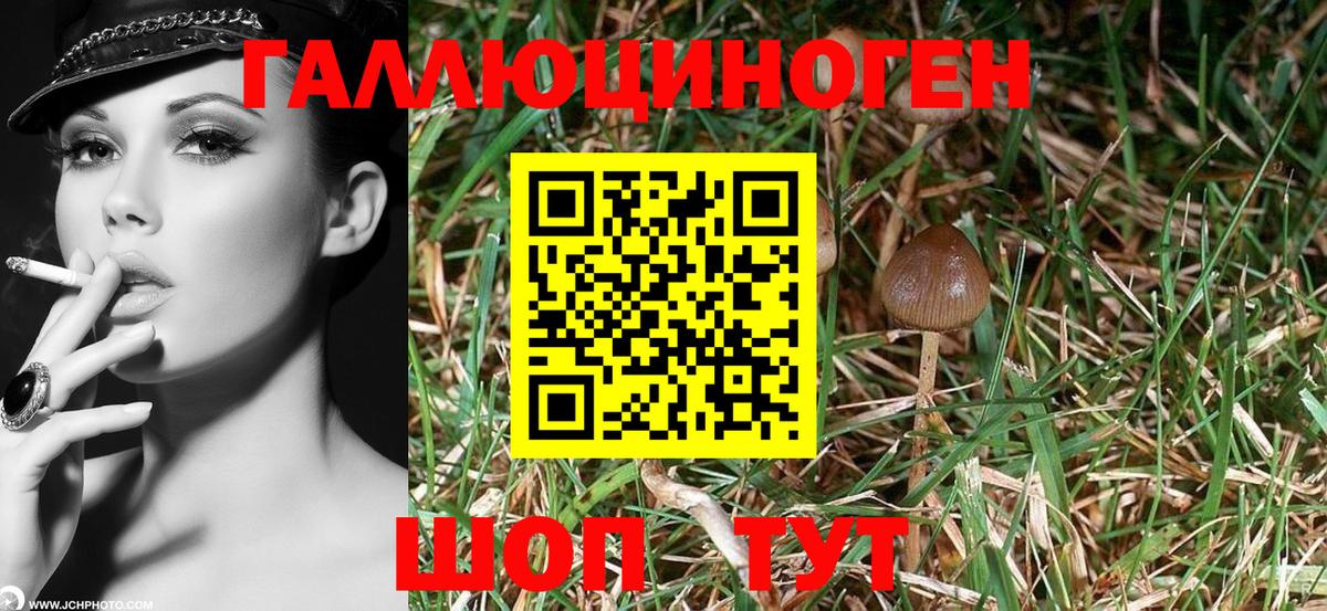 Галлюциногенные грибы GOLDEN TEACHER  Вход с VPN  Березники 